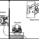 Illustration for article titled 10 of the Most Surprising Findings from Psychological Studies